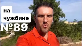 89. Пока, Никита / Неожиданная поездка / что со стройкой / моя Африканская жизнь, видеоблог из Кении