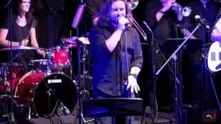 Steely Dan - Josie - Cover