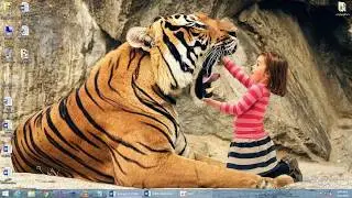 CS403 Assignment 2 complete solution due date 28-05-2018