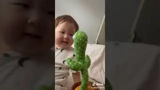 Tanzender Kaktus macht Geräusche nach - TikTok