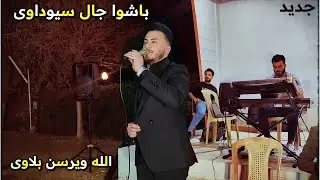 اغنية كاملة باشوا جال سيوداوى احمد واجد مراد شان اغنية تركمانية حياتمنان جخارتم