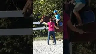Piaffe to levade pony and kid