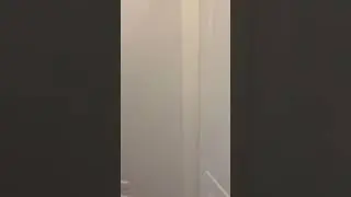23 ноября 2022 г.