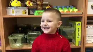 День приветствий
