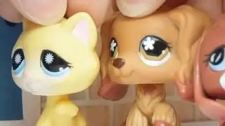 LPS׃ Дневник толстушки 0 2