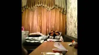 Киндер СЮРПРИЗ!!!