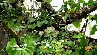 Visite du jardin du Montet - Silence, ça pousse !