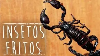INSETOS FRITOS (Escorpião, Lacraia, Gafanhoto e Estrela do Mar!) | Coisas que Nunca Comi na China