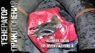 Осенняя охота на утку
