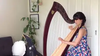 Mister Blister’s March (from Blistering Along!), Stewart Green (ABRSM Grade 2 Harp)