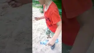 гусиница