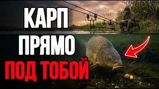 НЕ ЛОВИ КАРПА, пока НЕ ПОСМОТРИШЬ ЭТО ВИДЕО