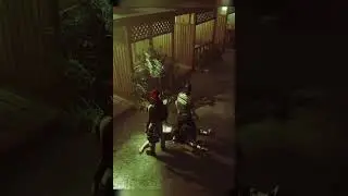 Мордобой! 