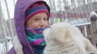 Ask a Lady Dog Musher!