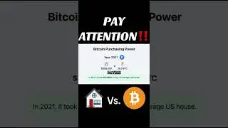 #BITCOIN IS THE FASTEST HORSE IN THE RACE ✅