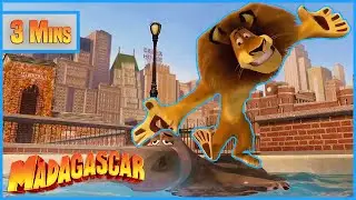 A Day in the Life at Central Park Zoo 🙉🦁 | Madagascar | Mini Moments