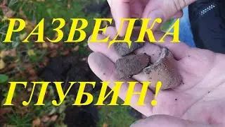 Разведка по старине с глубинником Rex Land Craft!