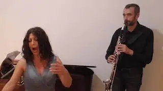 W. A. Mozart: Non più di fiori
