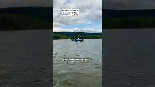 Sembramos tilapias en el lago de cuitzeo! 😱❤️❤️🇲🇽🇲🇽 Salvemos el lago de cuitzeo! #mexico #michoacán