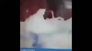 this is my kingdom cum
