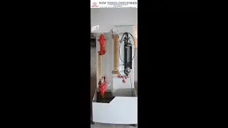 FLUDIZED BED APPARATUS