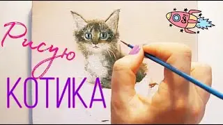 Котенок в чашке. Процесс создания картины
