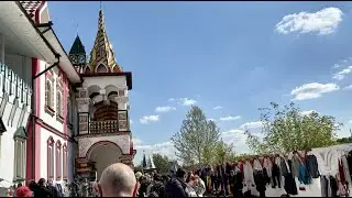 Не очень удачная блошка