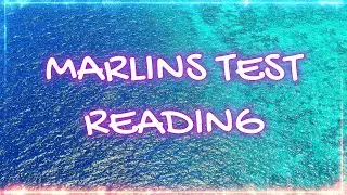 Marlins Test For Seafarer - Reading