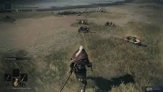 Elden Ring: Skyrim Mud Crab's Revenge #eldenring #fromsoftware #skyrim