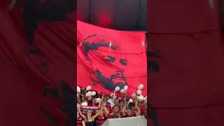 Mosaico volta do Gabigol