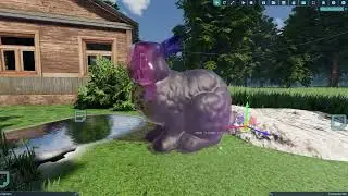 Decals on transparency