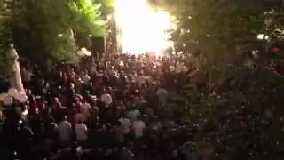 The Roots