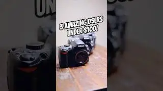 3 Amazing DSLRs under $100 in 2024