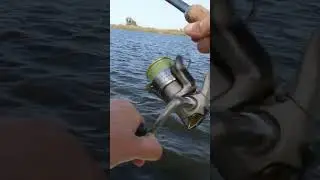 Вываживание трофейной щуки #щука #pike #трофей #рыбалка #спиннинг #хантер #рапала