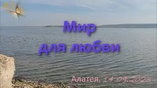 Мир для Любви #МД369