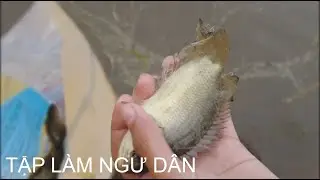 MỘT CHIỀU LÀM NGƯ DÂN  | PHAN XUAN
