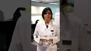 ¿Puedo elegir el sexo de mi bebé?