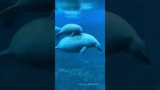 Beautiful world