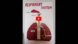 RESPIRATORY SYSTEM #PROJECT
