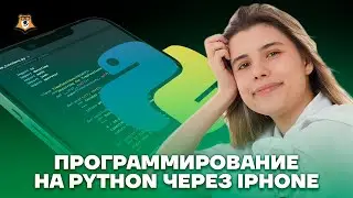 Программирование на Python через iPhone | Информатика ЕГЭ 2023 | Умскул