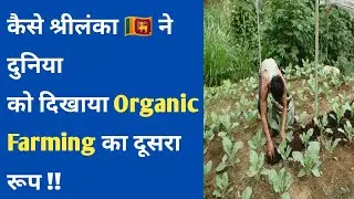 Impact of Organic Farming Attempt in Sri Lanka #agriculturalschool