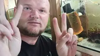 Рыбки для Ольги Олеговны!!))