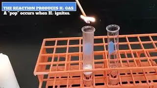 Does Mg or Al React Faster?