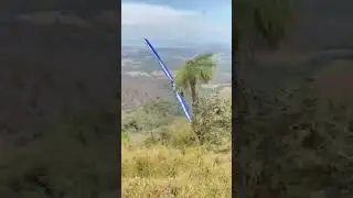 levanta vôo