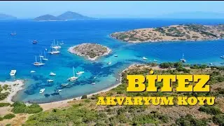 BİTEZ AKVARYUM KOYUNA ZORDA OLSA GİDEBİLDİK / BODRUM GEZİLECEK YERLER