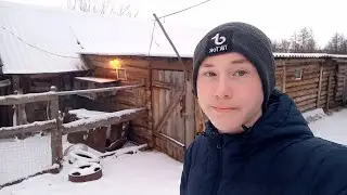 КОРОВЫ БУДУТ РОЖАТЬ В МОРОЗ НА УЛИЦЕ!!!