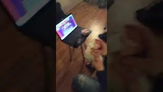 Kазино «Вулкан»