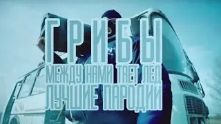 ГРИБЫ - ТАЕТ ЛЕД | САМЫЕ ЛУЧШИЕ ПАРОДИИ