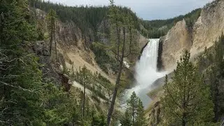 Day 12: Yellowstone Falls and Old Faithful