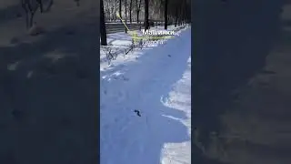 Природное явление.